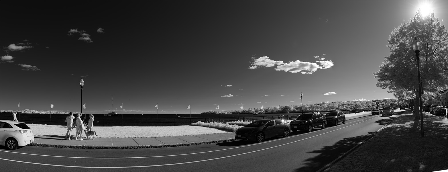 Infrared Panoramic Photograph of Harbor and Harborside Street, Esplanade, and Garden.